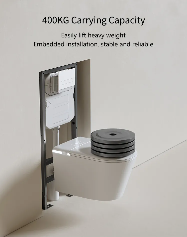 Smart Toilet Feature 6