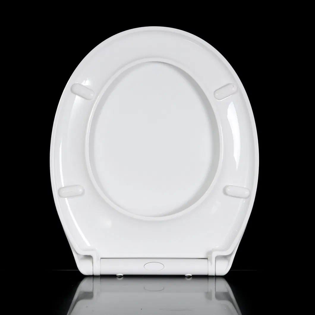 Bidet Toilet Seat 5