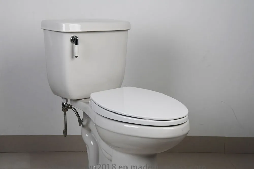 Bidet Toilet Seat View 9