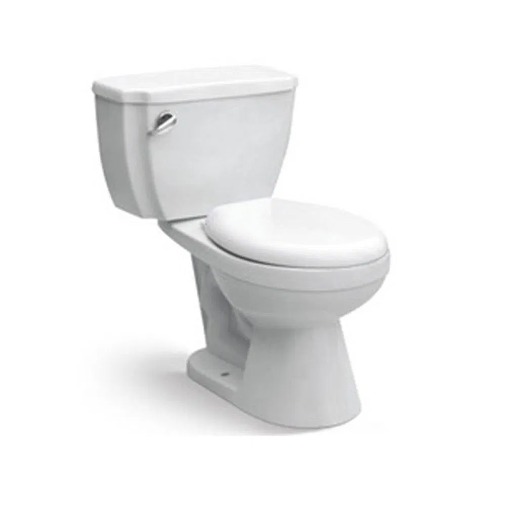 Italian Human Water Closet Smart Automatic Intelligent Toilet System