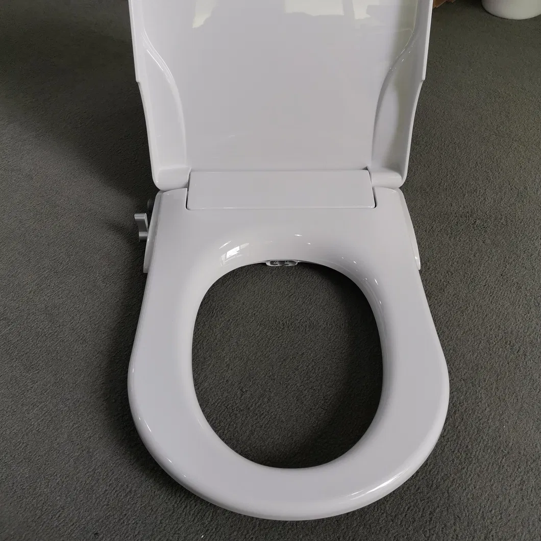 Bidet Seat Detail 5