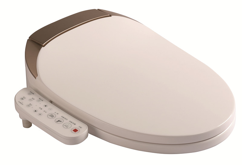 Dual Flush Heated Bidet Toilet Seat