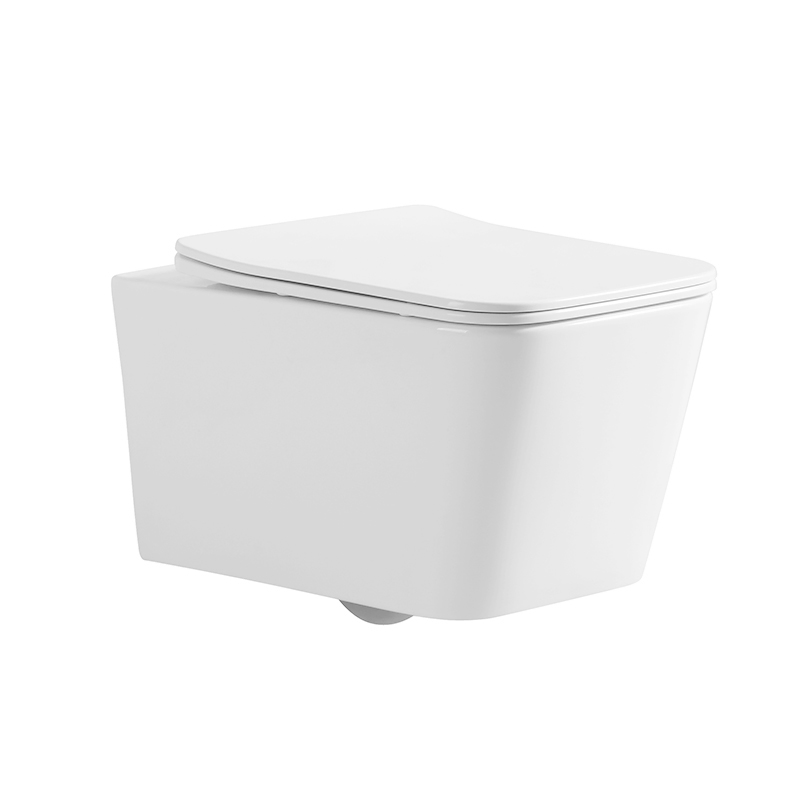 Dual Flush System Wall Hung Toilet with Concealed Tank