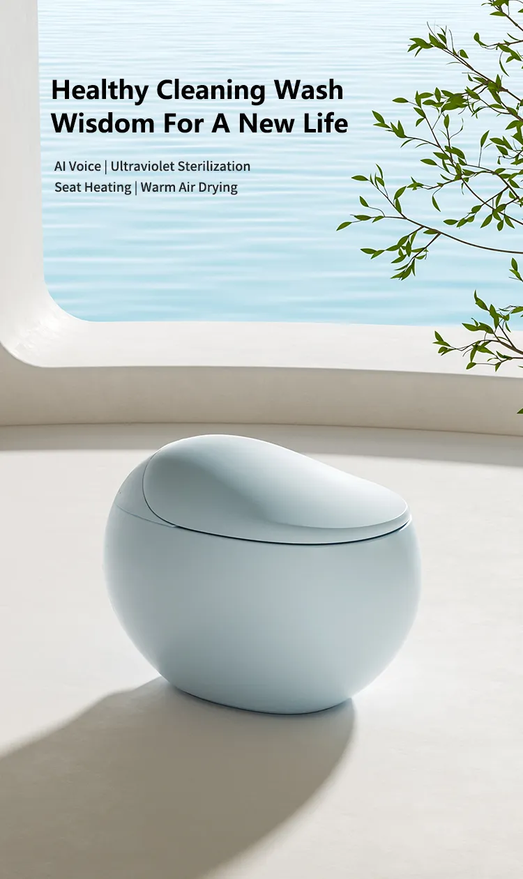 Smart Toilet Detail 1