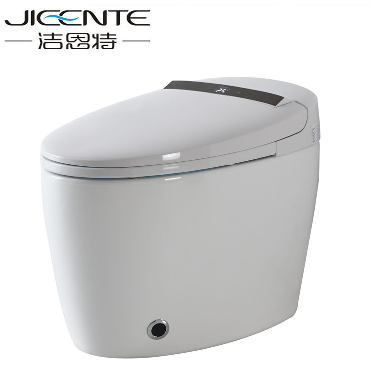 Bathroom Bidet Automatic Intelligent Bidet Toilet