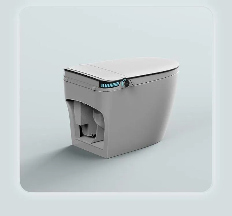 Smart Toilet Detail 5