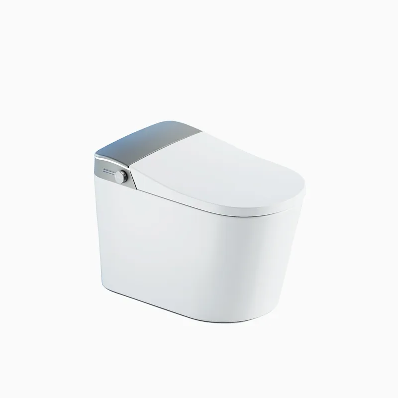 Smart Toilet View 1