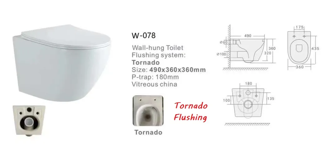 W-077 Wall Hung Toilet 2