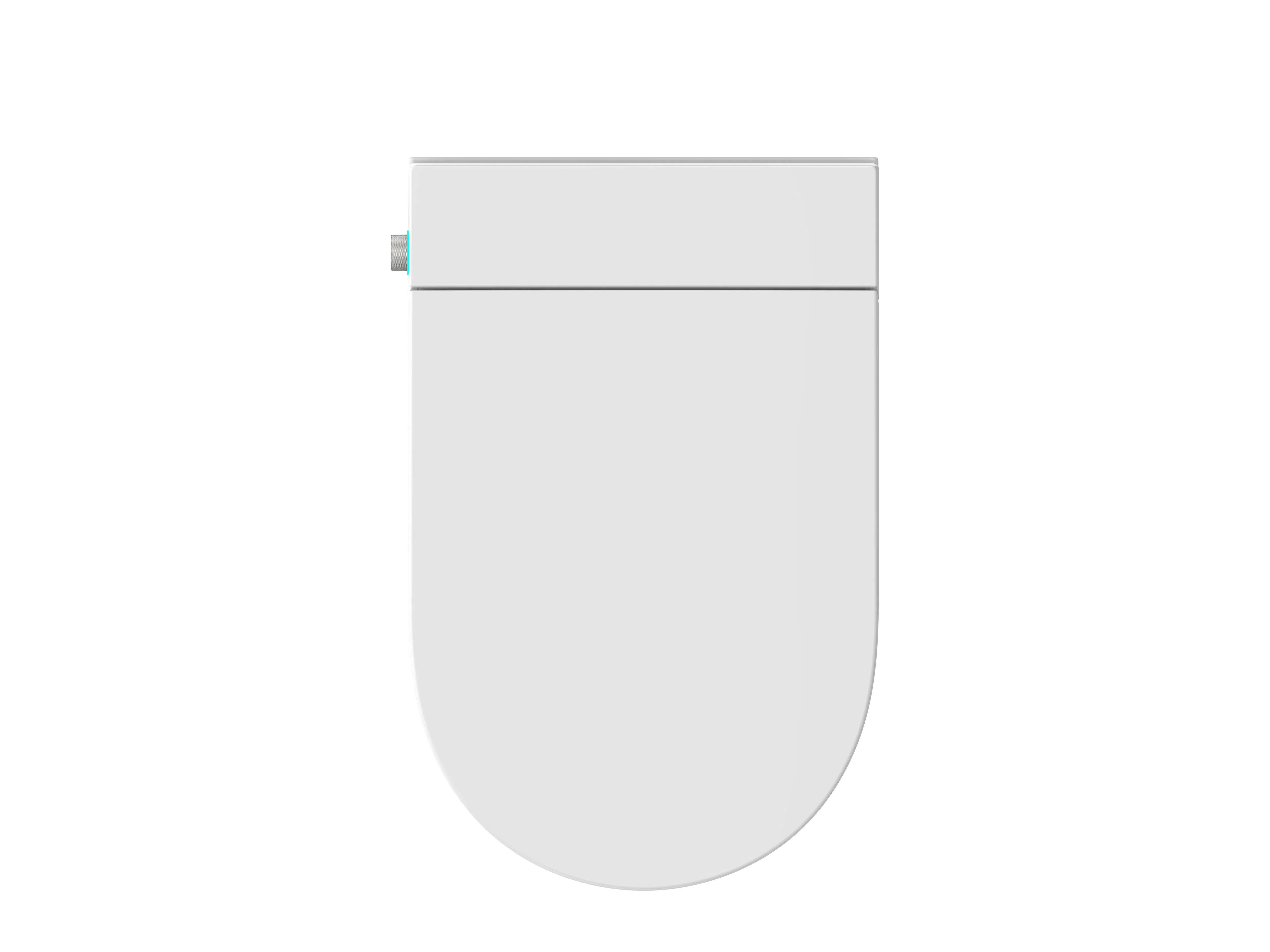 Wall Hung Smart Toilet with Build in Water Tank Auto Open/Flush