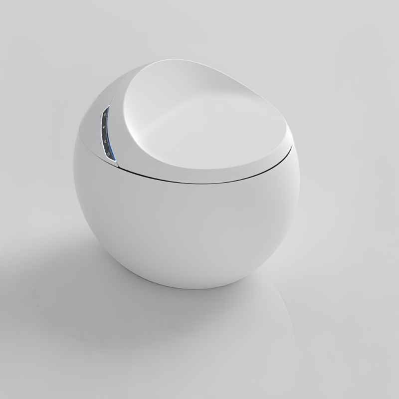 Luxury Intelligent Toilet Bidet Bathroom Auto Water Spray Flush Wc Smart Toilet