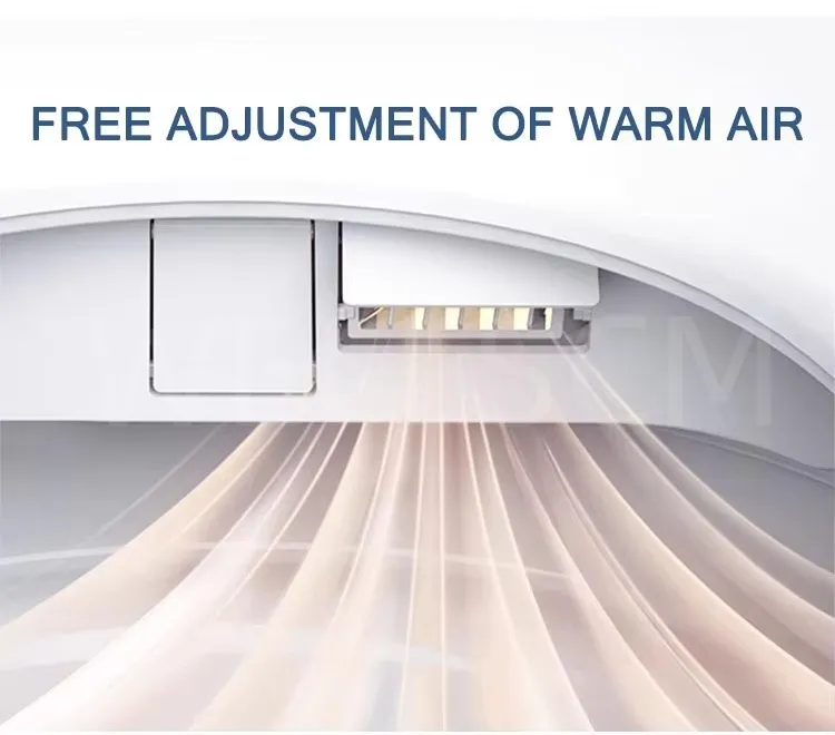 Smart Toilet Feature 3