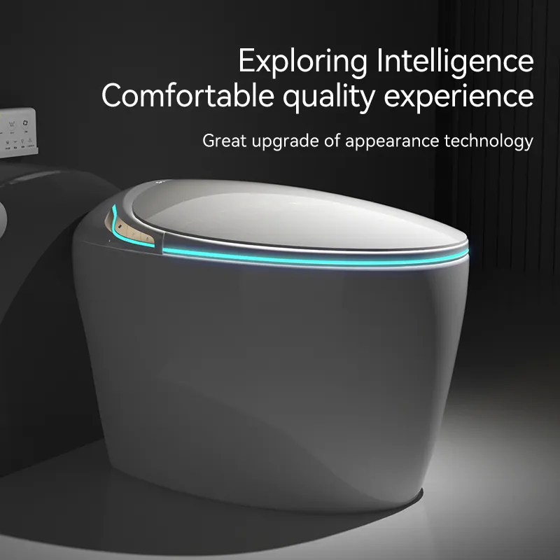 Smart Toilet Detail 1
