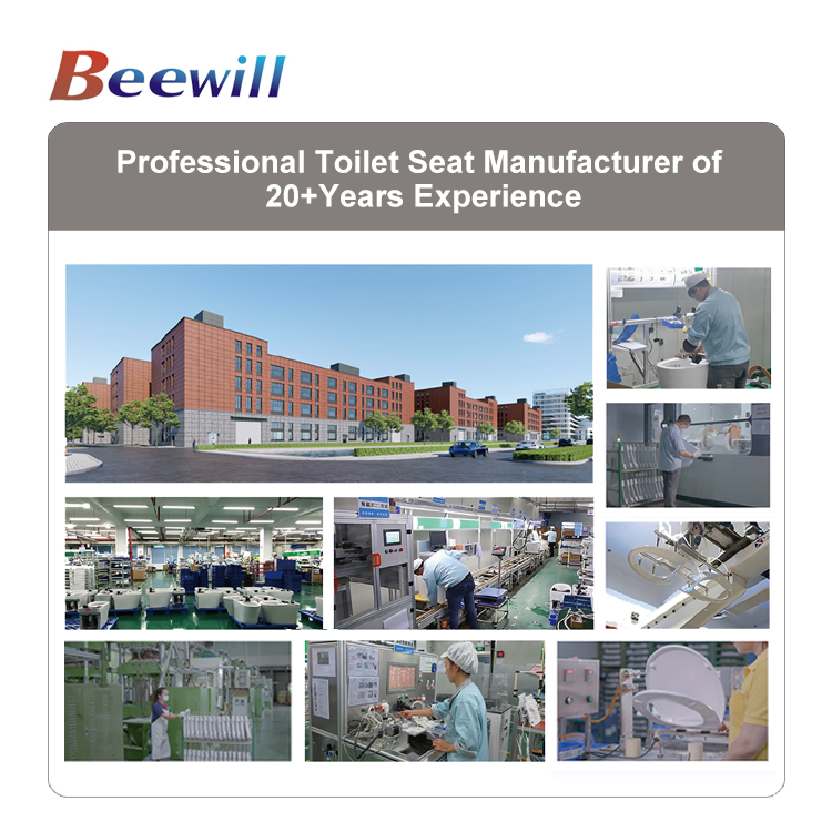 Bathroom Accessories D-Shaped Non-Electric Slow Quiet Close Dual Nozzles Bidet Toilet Seat