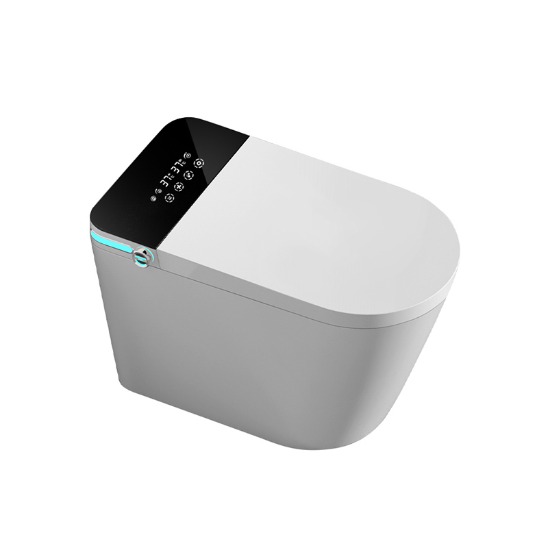 Tankless Bidet Intelligent Control LED Water Saving Smart Toilet