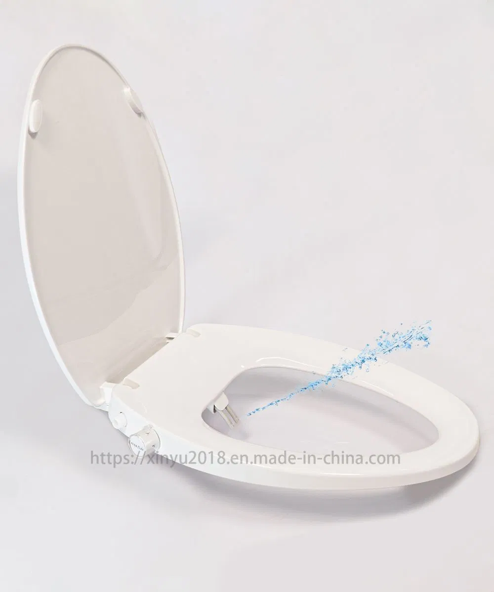 Bidet Toilet Seat