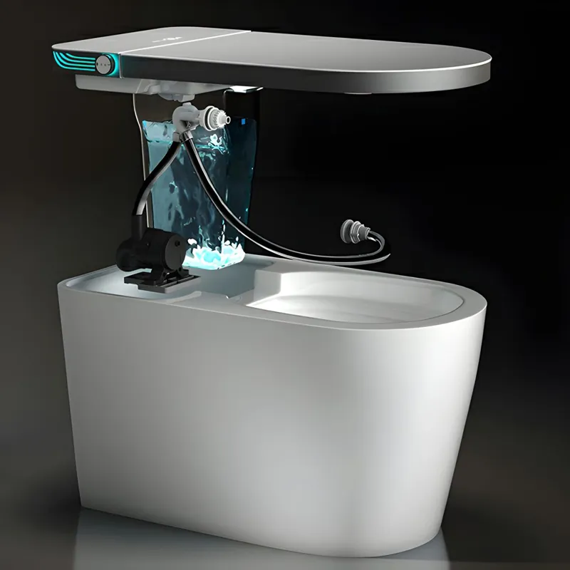 Smart Toilet Detail 5