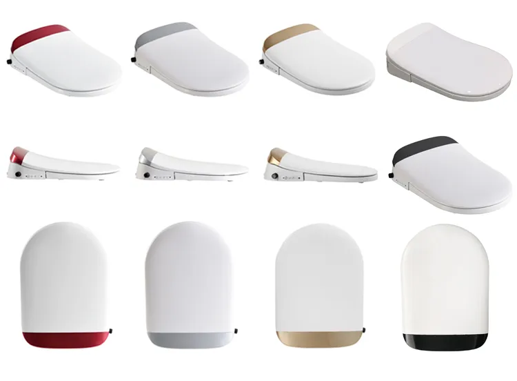 Bidet Toilet Seat Feature