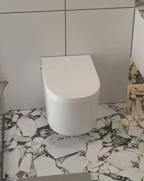 CE Certificate Europe Design Styles Wall-Hung Intelligent Smart Ceramic Toilets