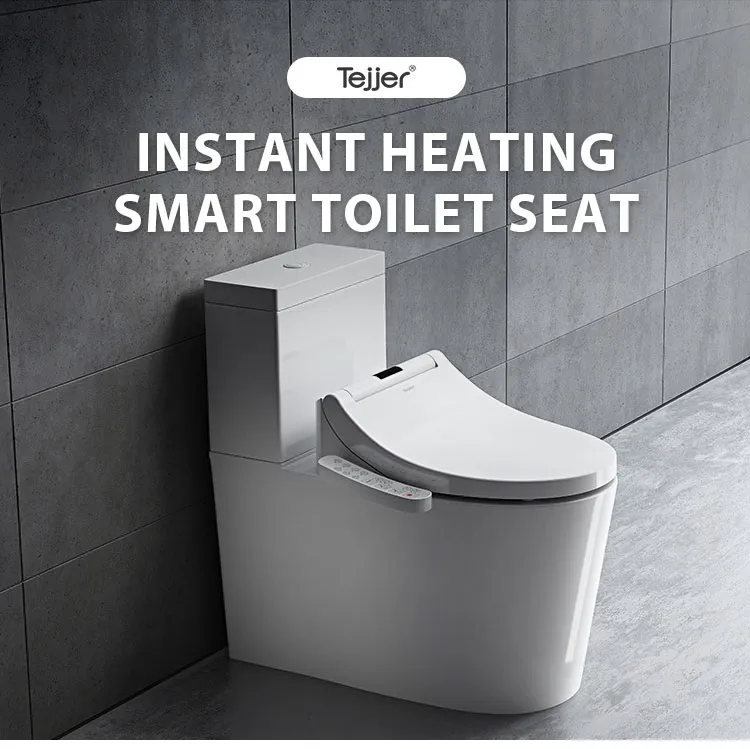 Smart Toilet Seat Detailed View