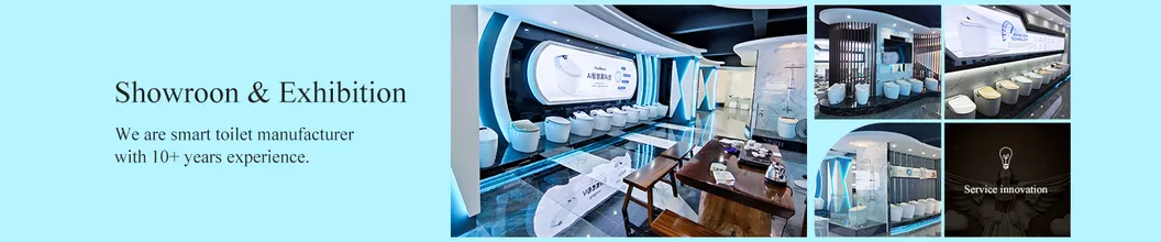 Smart Toilet Internal View