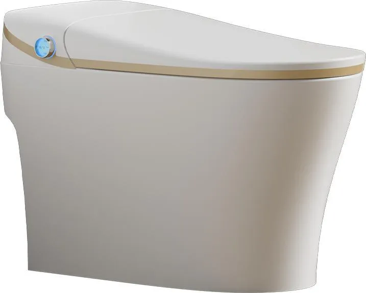 Smart Toilet Style 4