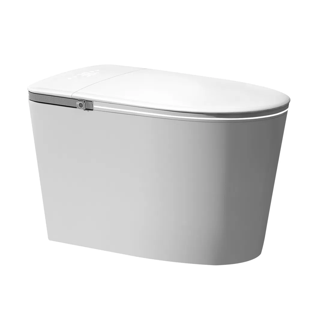 Smart Toilet Overview