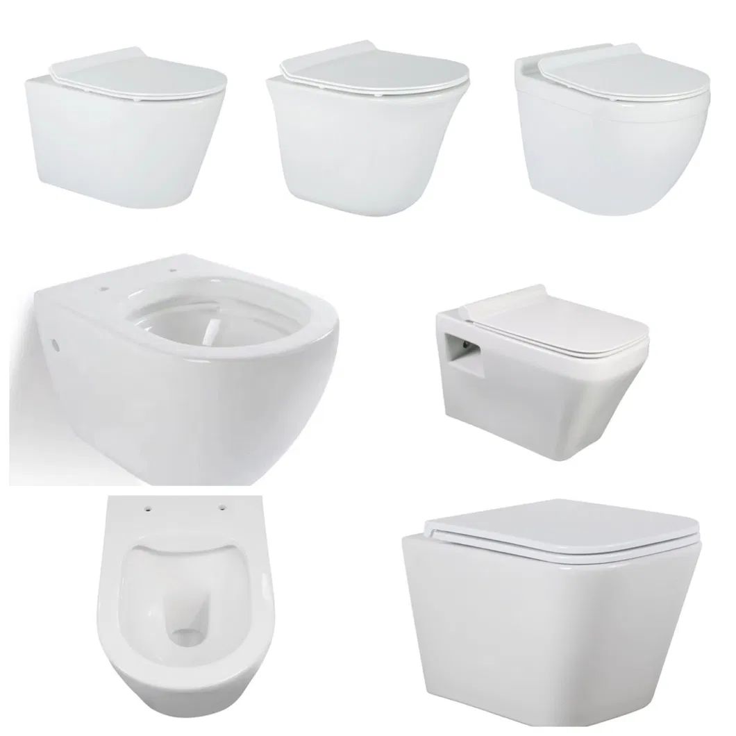 Toilet Seat Detail 6