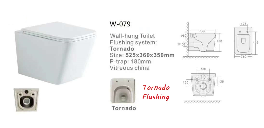 W-077 Tornado Flushing System Wall Hung Toilet Set, Concealed Cistern with Frame, Wc