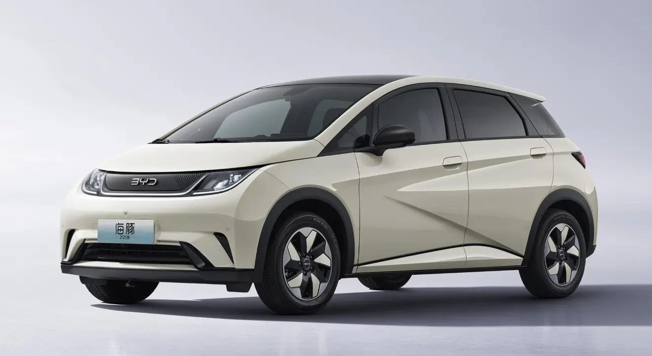 BYD Dolphin Detailed View 2