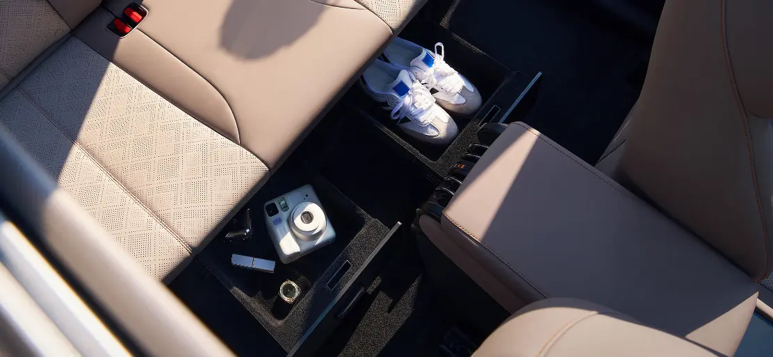 Rear seat dual storage compartments