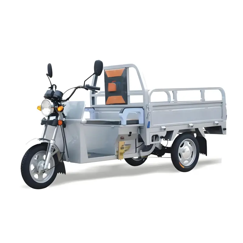 Cheap 1.6M Electric Tricycle Company, Service
