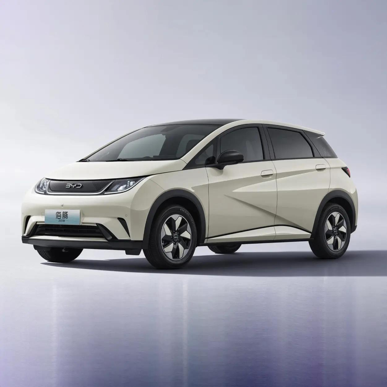 Custom BYD Dauphin Exporter, Company