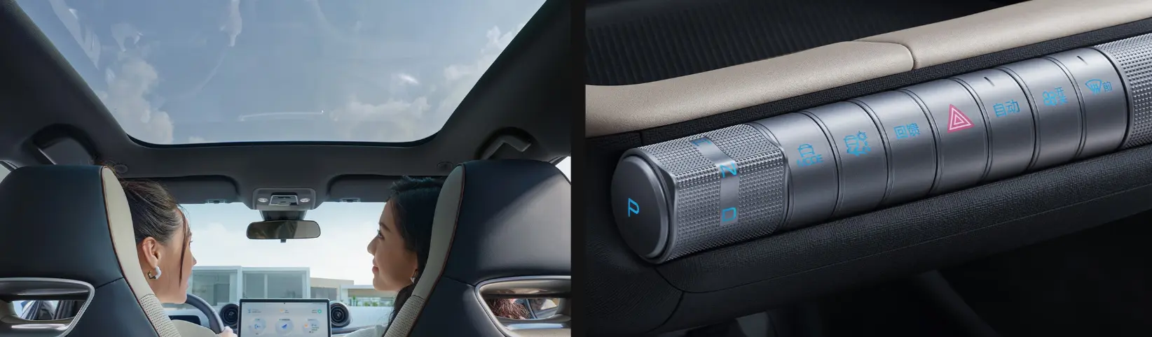 Panoramic sky screen features