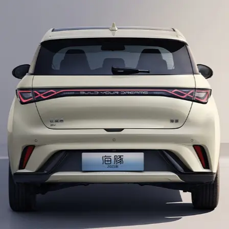Custom BYD Dauphin Exporter, Company