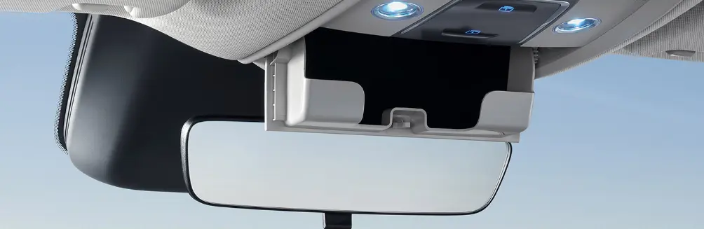 Roof Glasses Case & Details