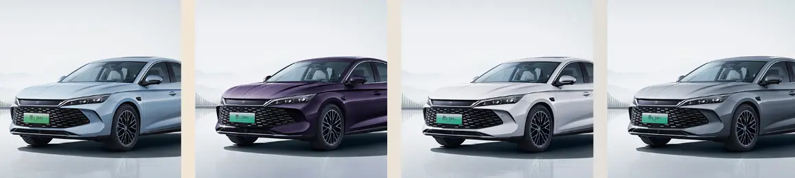 Color options preview