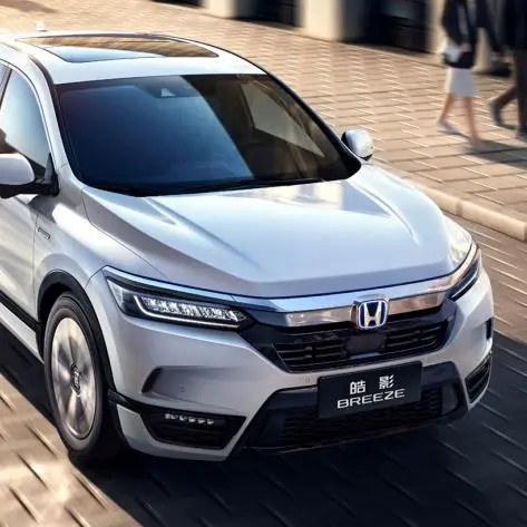 Best Honda Breeze/Gasoline Exporter, Company