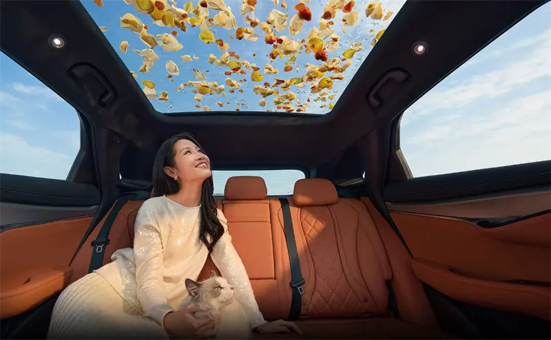 Super large panoramic canopy