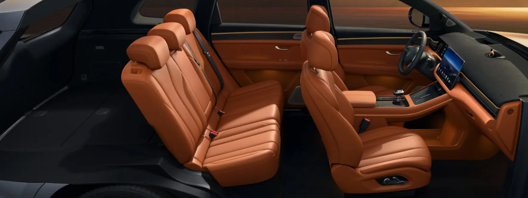 Cabin interior layout dimensions