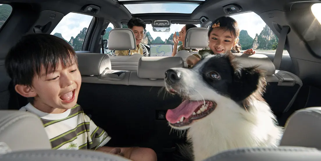 BYD Tang DM interior seating layout