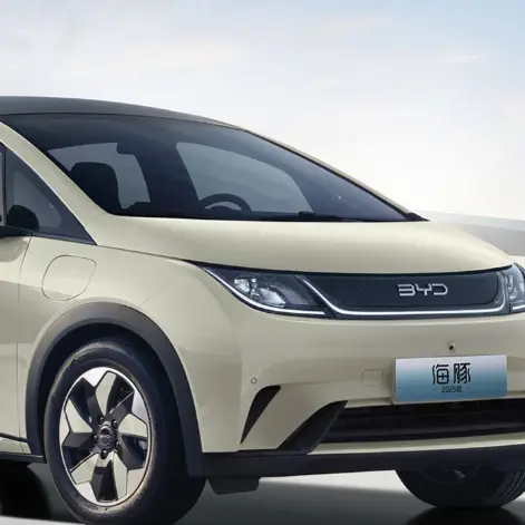 Custom BYD Dauphin Exporter, Company