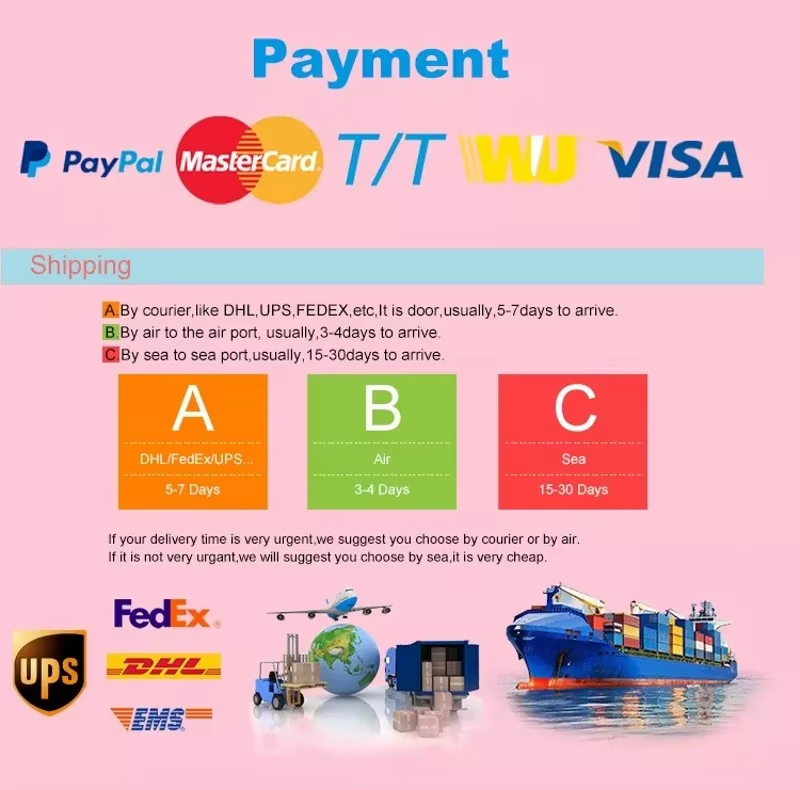 Payment and Shipping Information