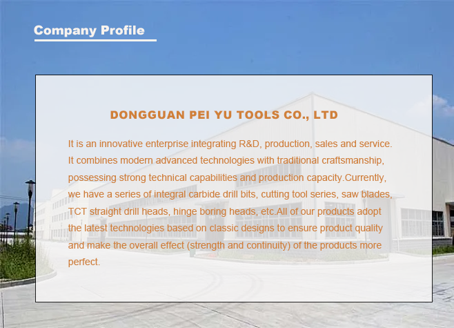 Company Overview