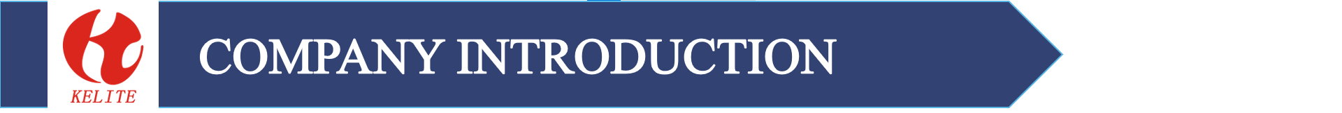 Company Introduction Banner