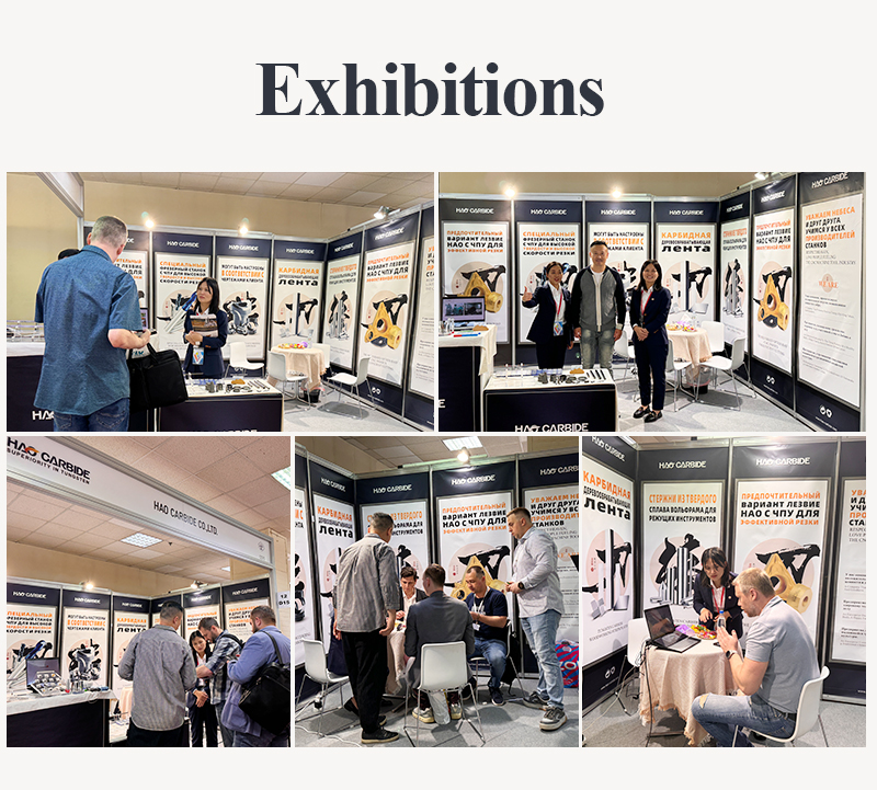 Exhibition Overview