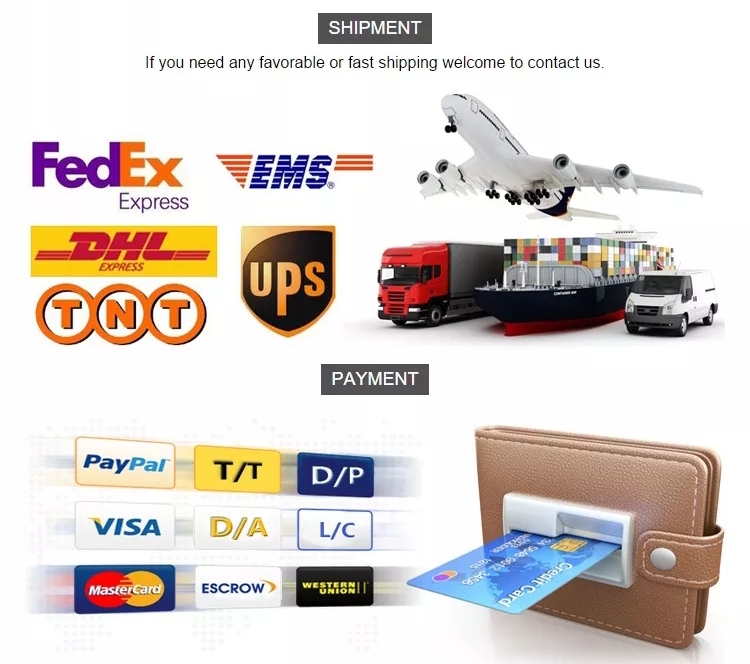 Shipment and Payment details