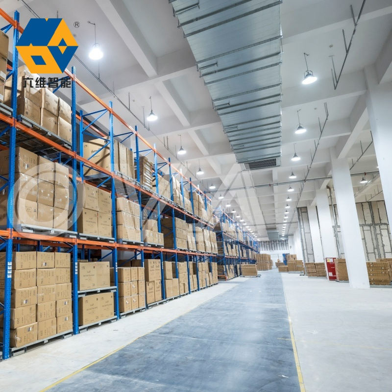 High Quality Cold Storage Heavy Duty Nova Warehouse Racking System Shuttle Pallet Rack