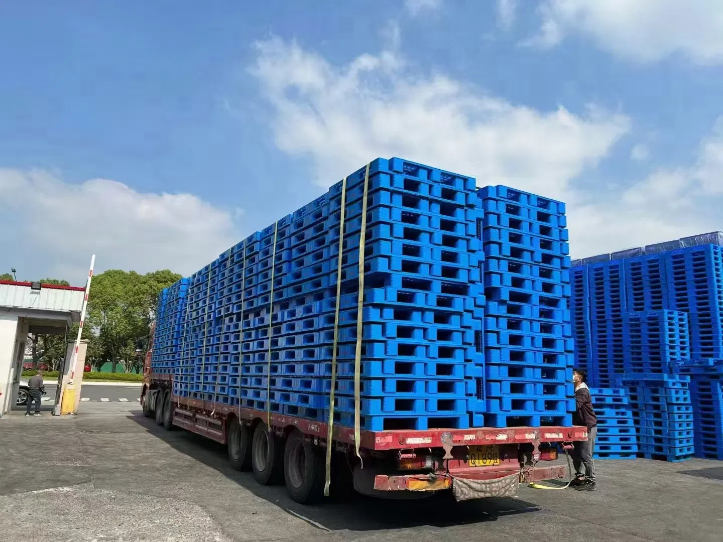 Plastic Pallets Can Be Placed on Shelves and in Three-Dimensional Warehouses, Improving Turnover Efficiency, with Strong Versatility and Convenience in Use.