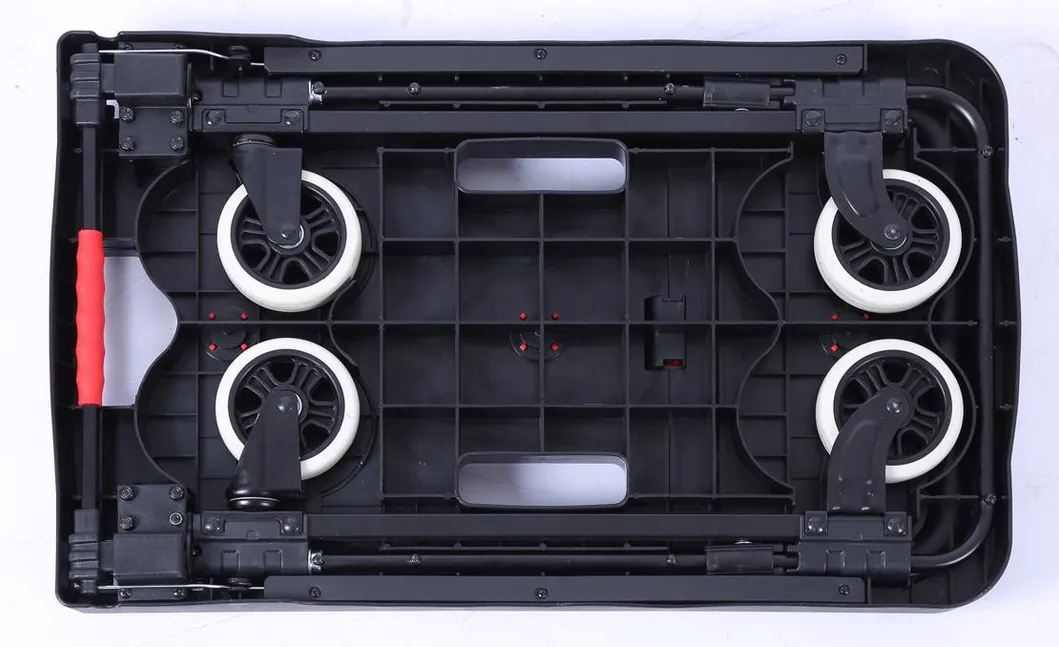 Folding Mechanism Display