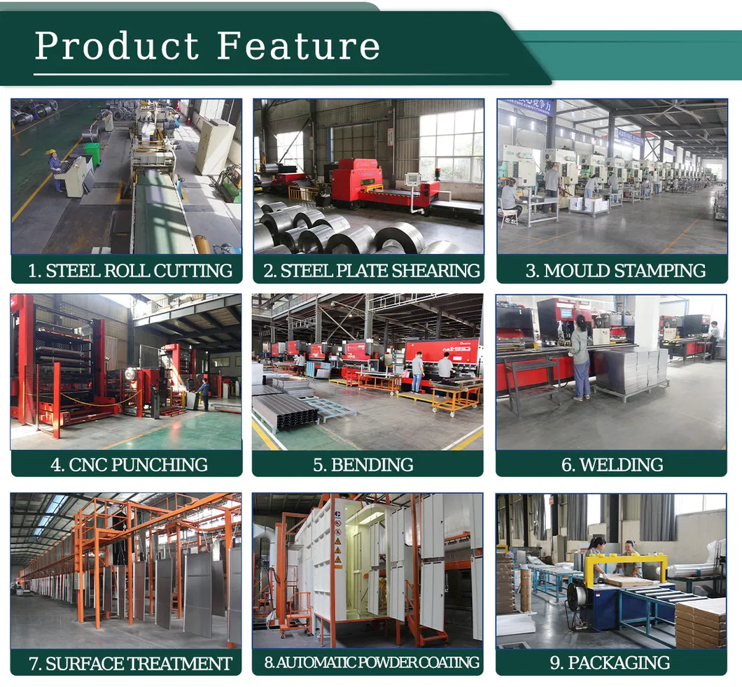 Roll Cage Cart View 6